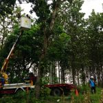 PLN Gelar Grebek Penyulang Modo, Fokuskan ke 154 Titik Rabas